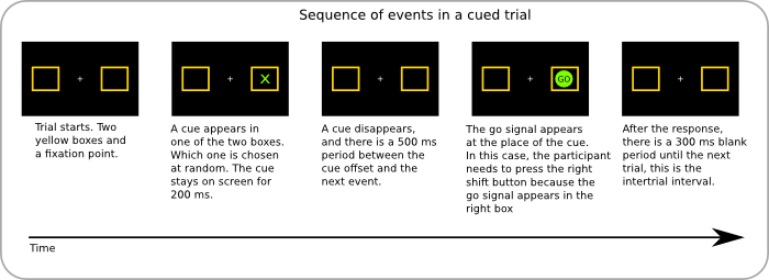 Experimental paradigm of Posner's task.